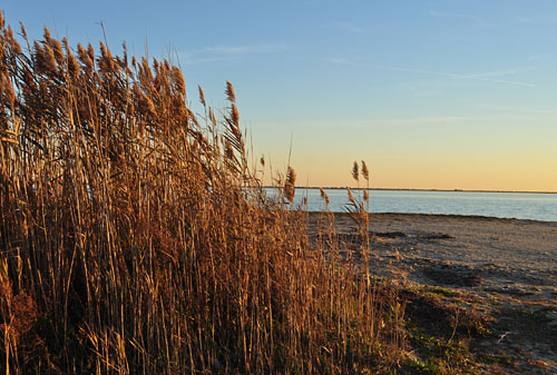 Venetian Shores NY